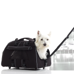 rolling jet setter dog carrier