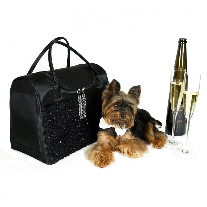 Yorkie with Black Tie Party Bag